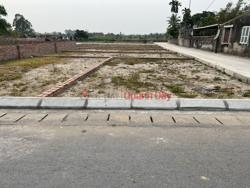 Property Search Vietnam | OneDay | Residential, Sales Listings, Selling a large plot of land with a parking area of more than 200 square meters near Vinhomes Duong Kinh Urban Area - HP. Only 400m away is Tu Street