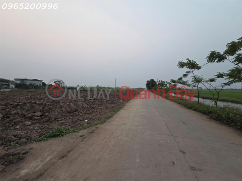 Bán đất 150m2 tại Khánh Hội, Yên Khánh, Ninh Bình, chính chủ hàng hiếm, 3,9 tỷ _0