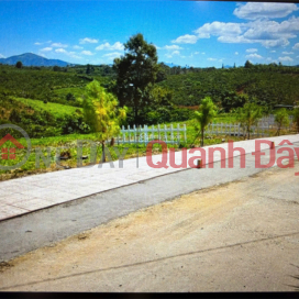 ĐẤT ĐẸP – GIÁ TỐT – CƠ HỘI SỞ HỮU LÔ ĐẤT VÀNG TẠI Đường Quốc lộ 20, Xã Lộc An _0