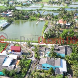 OWNER Urgently Needs to Sell Land in Thuan My Commune, Chau Thanh District, Long An Province _0