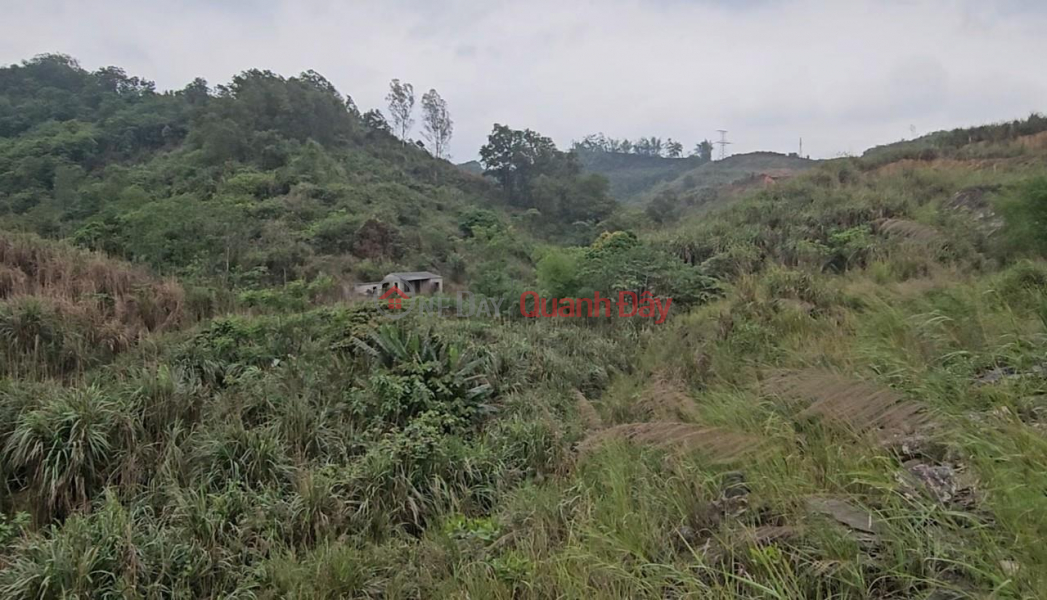 BEAUTIFUL LAND AT GOOD PRICE - OWNERS NEED TO SELL HILLS QUICKLY LOT OF HILLS IN Bac Son Ward, Bim Son, Thanh Hoa Vietnam, Sales | đ 6 Billion