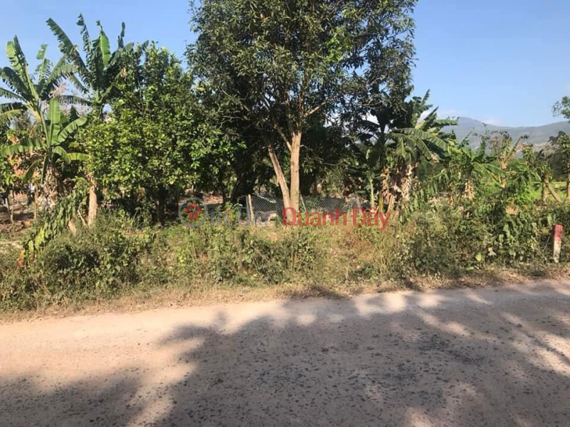 Golden opportunity to own a beautiful square land in Suoi Cat - Cam Lam! Cheap price 600 million\\/lot Vietnam, Sales | đ 600 Million