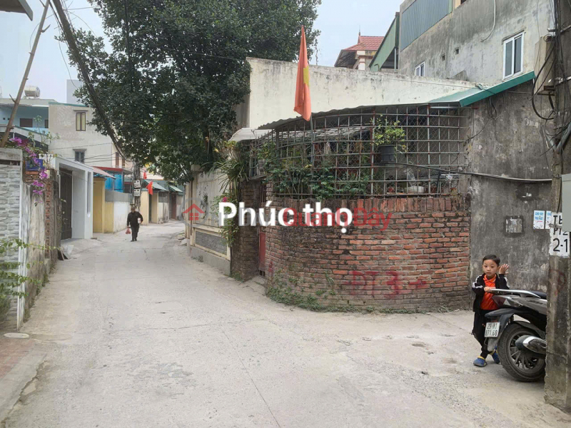 Property Search Vietnam | OneDay | Nhà ở, Niêm yết bán Đất chính chủ em -Bán gấp -Vị trí đẹp thôn Phúc Thọ, Mai Lâm, Đông Anh