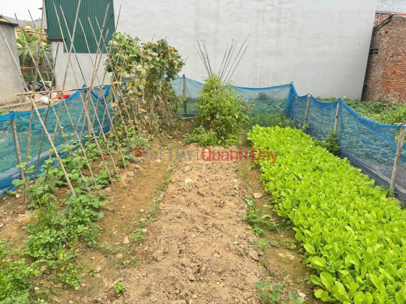 Bán 82m đất Tam Đồng, Mê Linh, HN. Đất vuông vắn, full thổ cư. Mặt tiền rộng Niêm yết bán