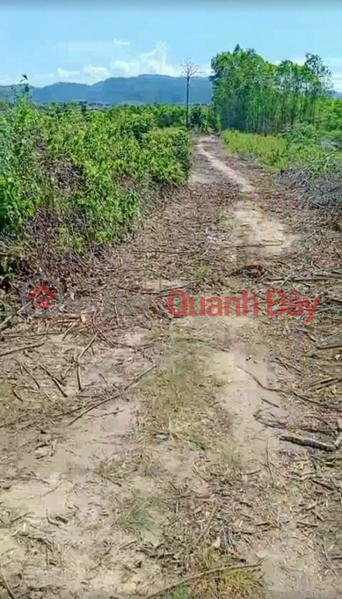 Property Search Vietnam | OneDay | Residential Sales Listings | Lock 6 plots of land in M'Drak district - Dak Lak. Cheap land by owner only from 160 million\\/lot.