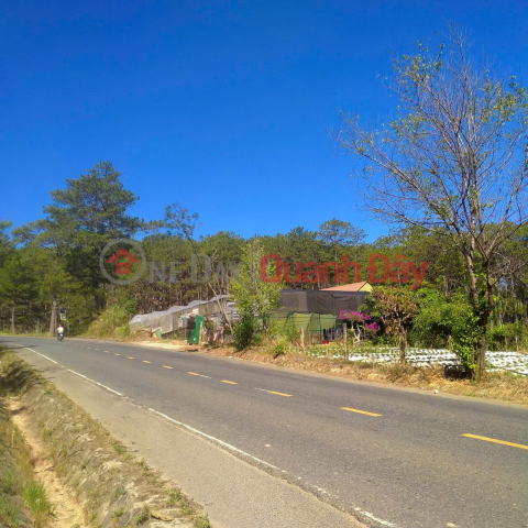 HOT HOT – CHÍNH CHỦ CẦN BÁN ĐẤT VIEW ĐỒI THÔNG, SUỐI TỰ NHIÊN – GIÁ TỐT – Tại Lạc Dương, Lâm Đồng _0