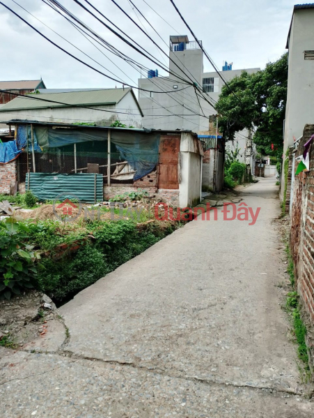 cc for sale 63m2, main street frontage of Phuong Nghia village, Phung Chau, Chuong My, Hanoi, car | Vietnam, Sales | đ 2.02 Billion