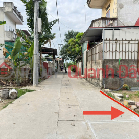 Land for sale in group 9, Quang Minh town, Me Linh. Near Tue Tinh Medical and Pharmaceutical College and Industrial Park. _0