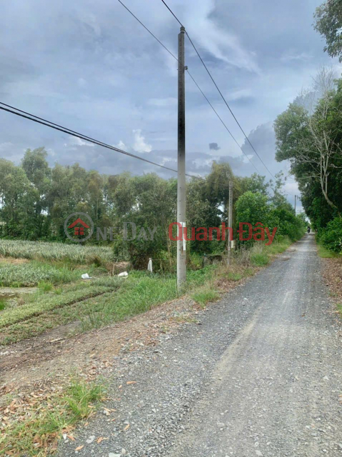 Need to sell a beautiful plot of land nearly 18 hectares, in Thanh Hoa Commune, Tan Phuoc, Tien Giang _0