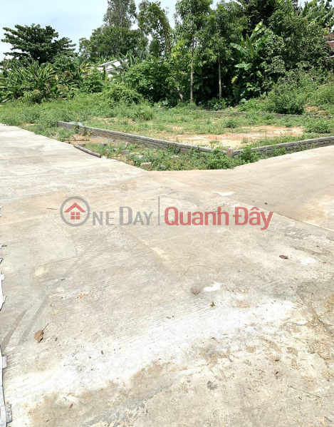 Property Search Vietnam | OneDay | , Niêm yết bán, Bán đất 98m2 Điện Hồng gần chợ Lạc Thành, đường Hùng Vương