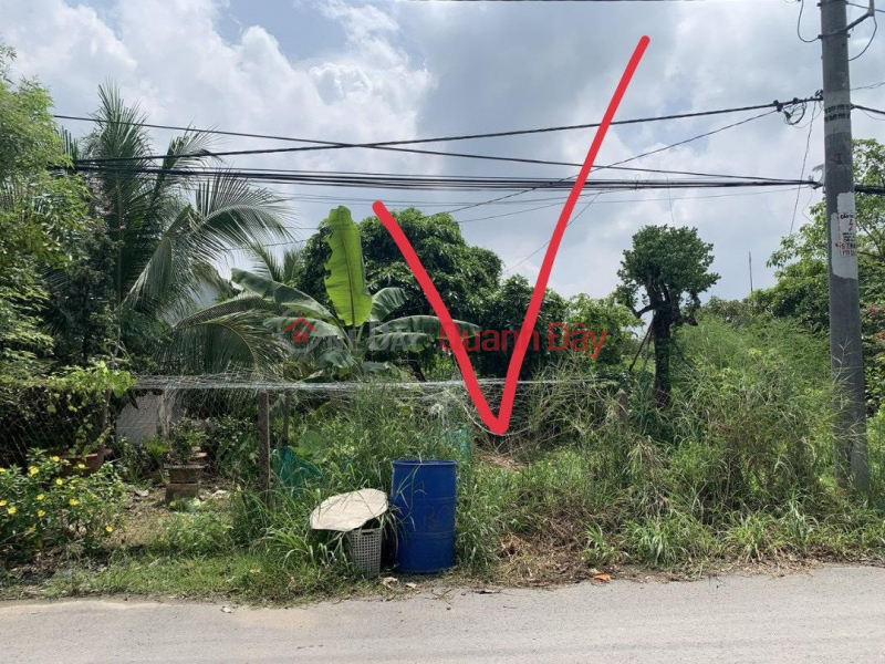 Property Search Vietnam | OneDay | Residential Sales Listings, Beautiful Land - Good Price - Owner Needs to Sell a Plot of Land in a Beautiful Location in Trung An Commune, Cu Chi, HCM