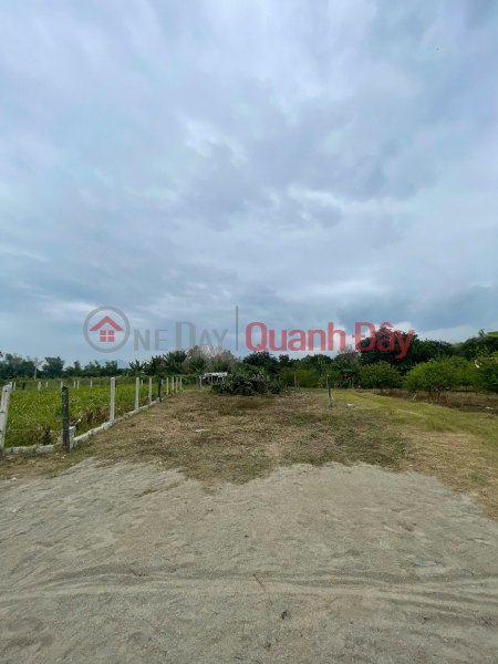 Property Search Vietnam | OneDay | Residential, Sales Listings, OWNER WANTS TO SELL A BEAUTIFUL, WIDE-FRONT PLOT OF LAND IN DIEN BINH COMMUNE, DIEN KHACH DISTRICT, 100% RESIDENTIAL LAND.
