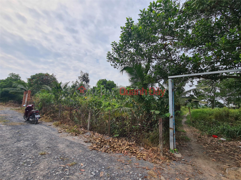 Property Search Vietnam | OneDay | Nhà ở | Niêm yết bán | ĐẤT ĐẸP - GIÁ TỐT - BÁN NHANH Lô Đất Tại Đường Số 6, Xã Bình Lợi, Huyện Bình Chánh, HCM
