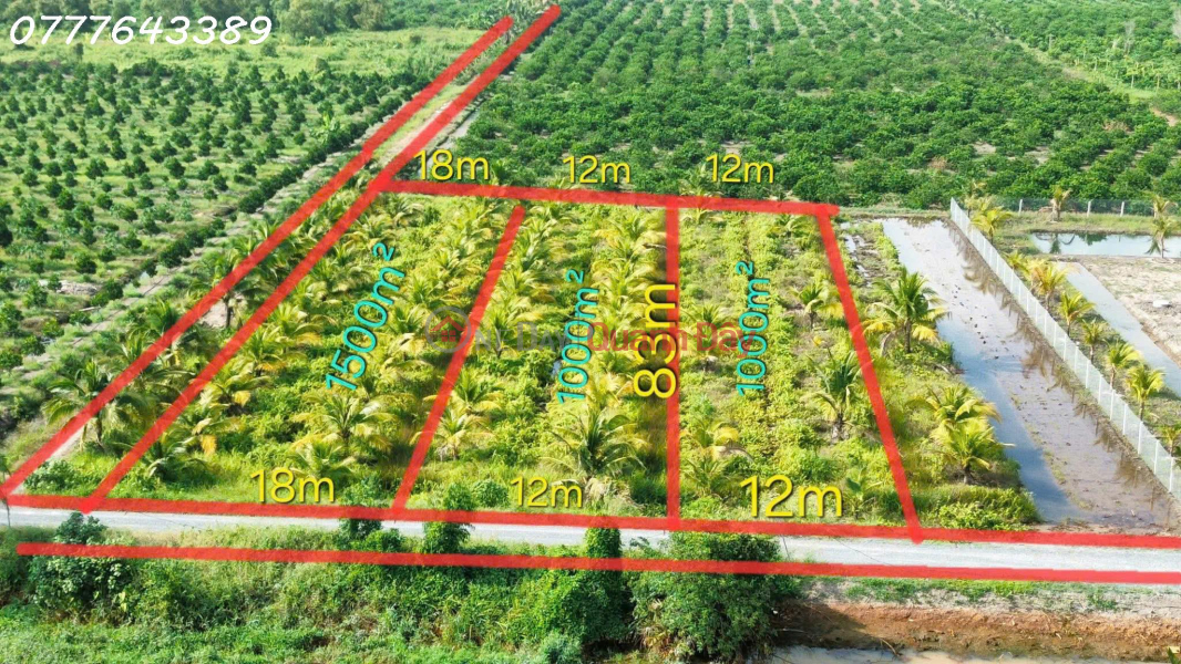 Rare find - Super beautiful garden land in Thu Thua, priced at 789 million VND \\/ area 1000 sq m. Sales Listings