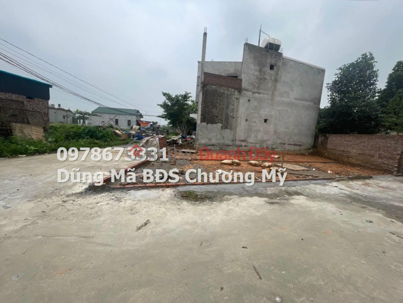 48.5M2 LAND LOT FOR SALE IN THE EXTREMELY DEVELOPED PHU NGHI-CHUONG MY INDUSTRIAL PARK Sales Listings