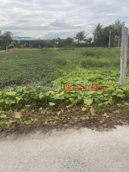 BEAUTIFUL LAND - PROFITABLE INVESTMENT - Owner needs to sell quickly Land Lot in Phuoc Loi Commune, Ben Luc, Long An Sales Listings