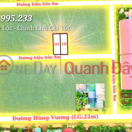 Owner Quickly Transfers Pair of Lands and Villas in Phu Loc Dak Lak Price Only 6xxTR/plot _0