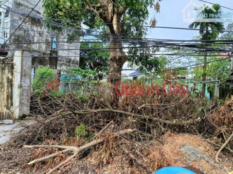 Land for sale next to Highway 36 extension, Bang An, Que Vo, Bac Ninh _0