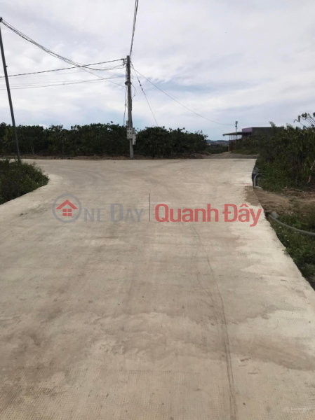 đ 14.8 Billion | Land for sale 1.3 hectares in Ninh Gia, Duc Trong, Lam Dong, price 14.8 billion 6m concrete road