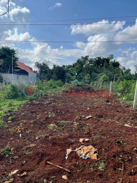 ĐẤT SIÊU ĐẸP - GIÁ ĐẦU TƯ- Cần Bán Lô Đất Tại N7 BUÔN JU , Phường Tân An, Đắk Lắk | Việt Nam Bán, đ 1,25 tỷ