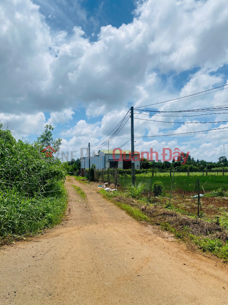 Bán 128m2 đất gần hồ Nam Sơn ĐỨC TRỌNG LÂM ĐỒNG 1 tỷ 300 triệu Việt Nam | Bán | đ 1,3 tỷ