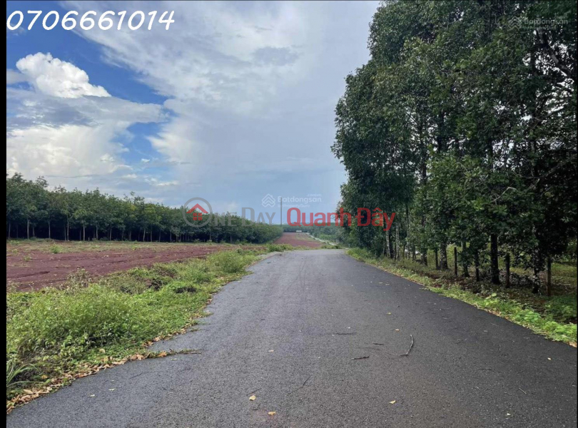 For sale 220m2 of land frontage on inter-commune road, Phuoc An, Hon Quan, Binh Phuoc | Vietnam, Sales đ 1.43 Billion