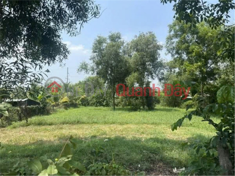 HOT HOT – CHÍNH CHỦ CẦN BÁN LÔ ĐẤT VỊ TRÍ ĐẸP TẠI Xã Phước Thạnh, Huyện Củ Chi, TP HCM _0
