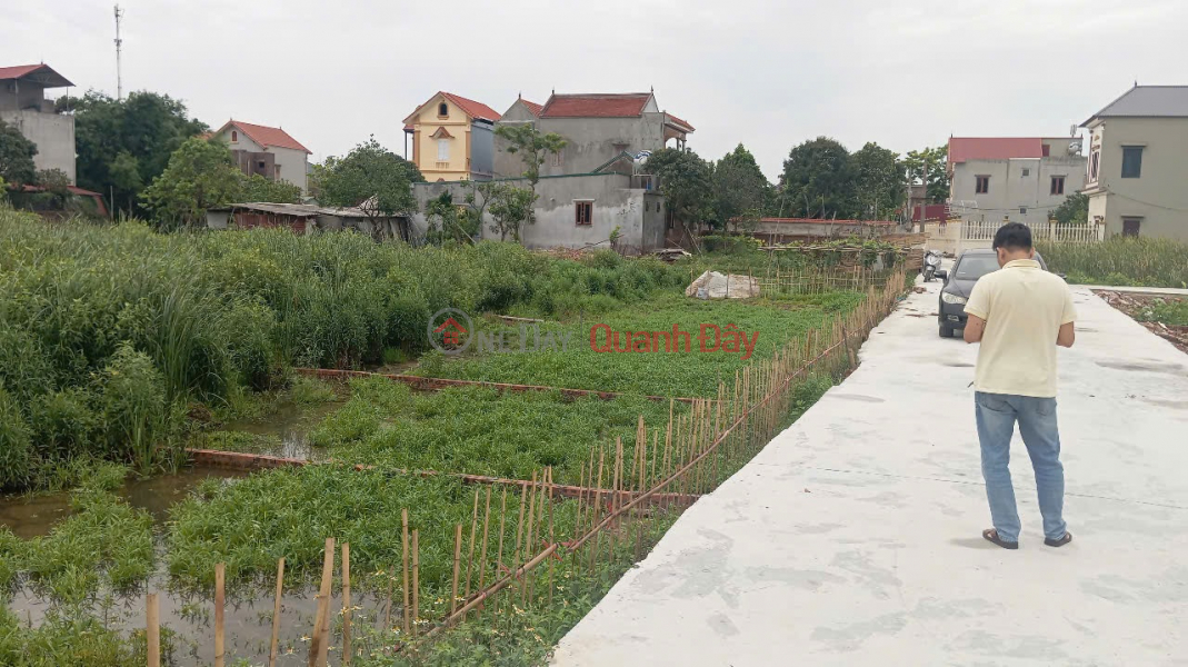 Bán đất Gia Bình, bắc ninh. 100m2 * mt 5m * 1,65 tỷ. ô tô đỗ, full thổ cư Niêm yết bán