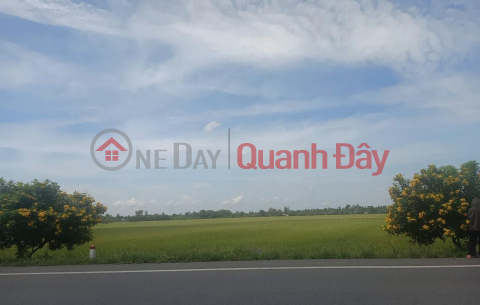 GENERAL FOR SALE QUICKLY Beautiful Land Lot Front Street 61C Near Vi Thanh Law School, Hau Giang _0