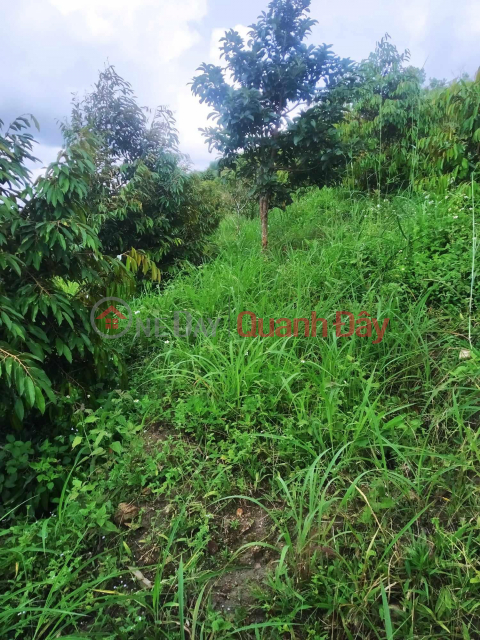 BEAUTIFUL LAND - GOOD PRICE - LAND LOT FOR SALE Prime Location In Ehleo District - Dak Lak _0