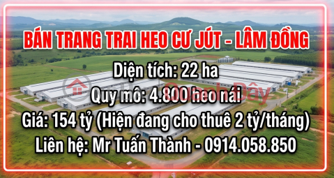 Pig farm for sale, 22 hectares, 4,800 sows - Cu Jut, Dak Nong. Currently leased for 2 billion VND\/month. _0