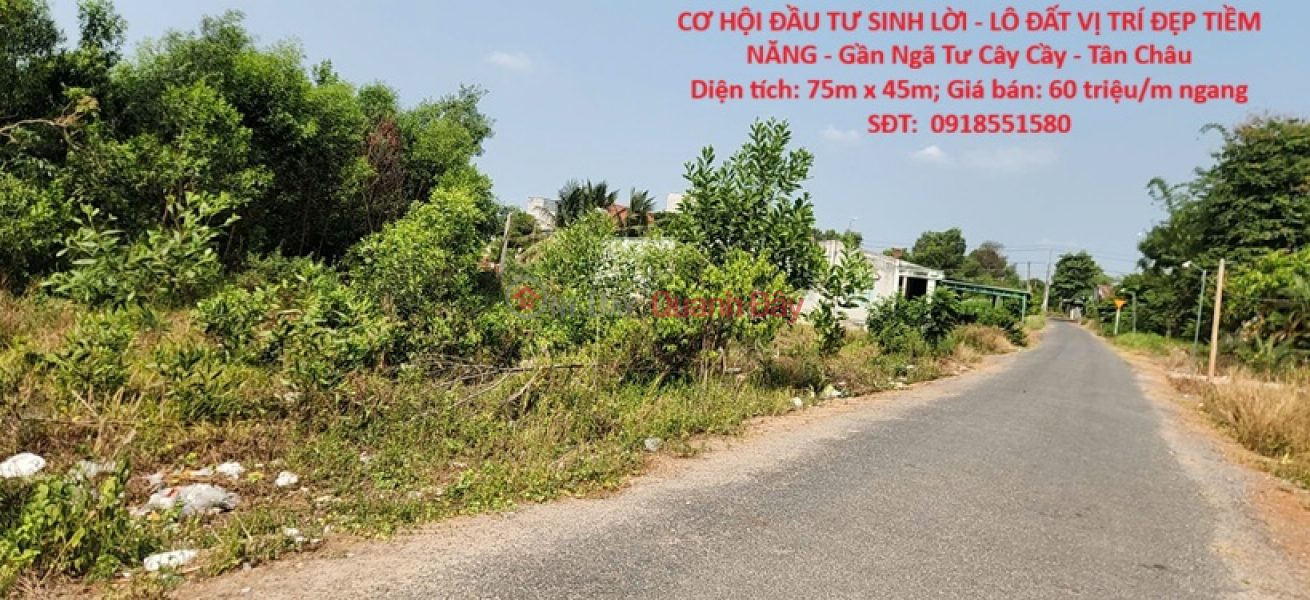 PROFITABLE INVESTMENT OPPORTUNITY - PRIME LOCATION LAND PLOT WITH HIGH POTENTIAL - Near Cay Cay Crossroads - Tan Chau Sales Listings