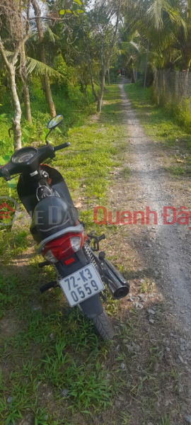 Property Search Vietnam | OneDay | Residential | Sales Listings PROFITABLE INVESTMENT - Owner Selling Cheap Land Plot in Tan Phu Tay Commune, Mo Cay Bac District, Ben Tre Province