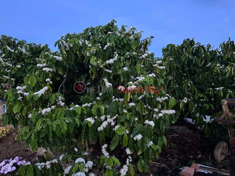 , Please Select Residential | Sales Listings, đ 12 Billion