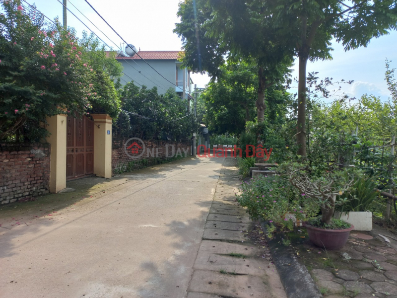 Property Search Vietnam | OneDay | Residential | Sales Listings | FOR SALE 58M2 INTERNATIONAL LAND MT 4.6M INTERNATIONAL AUTOMATIC ACCESSORIES FOR MORE THAN 2 BILLION