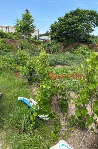ĐẤT ĐẸP - GIÁ TỐT - Chính Chủ Cần Bán Lô Đất 2 MẶT TIỀN Khu phố 4C, Phường Trảng Dài, Đồng Nai Niêm yết bán