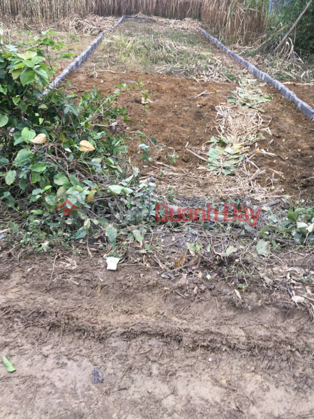BEAUTIFUL LAND - GOOD PRICE - NEED TO SELL LAND LOT IN Da Phuc commune, Yen Thuy district, Hoa Binh, Vietnam Sales | đ 400 Million