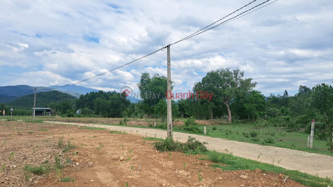 đ 310 Million Hot Hot! 3 Lots of FULL Residential Land, Real Owner Land at Shockingly Cheap Prices in Khanh Binh - Khanh Vinh!