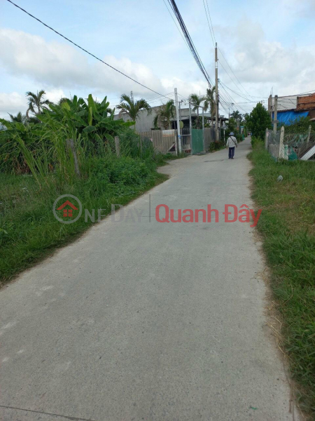 OWNER Needs to Urgently Sell Residential Land in Nice Location in Nhut Chanh Commune, Ben Luc District, Long An Vietnam, Sales | đ 1.05 Billion