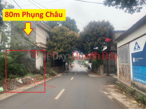 CHÍNH CHỦ CẦN BÁN LÔ ĐẤT KINH DOANH 80M TẠI PHỤNG CHÂU-CHƯƠNG MỸ-HÀ NỘI _0
