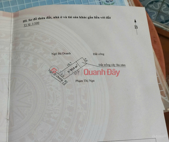 Property Search Vietnam | OneDay | Residential, Sales Listings Land 89m2 opposite Mac Dinh Chi school - Hai Phong