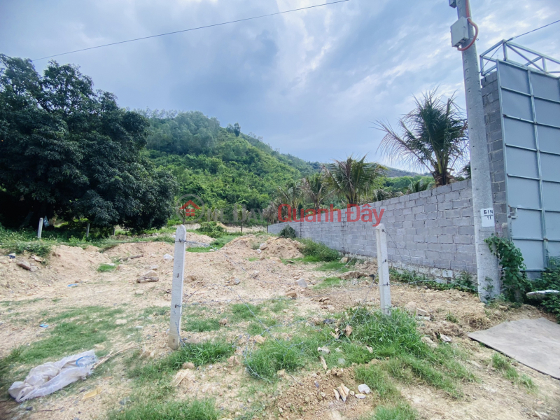 RESIDENTIAL LAND FRONT OF PROVINCIAL ROAD 3, CAM LAM - SUITABLE FOR BUILDING A WAREHOUSE - EXTREMELY ATTRACTIVE PRICE FOR ONLY 2,950 BILLION! Vietnam, Sales, đ 2.95 Billion