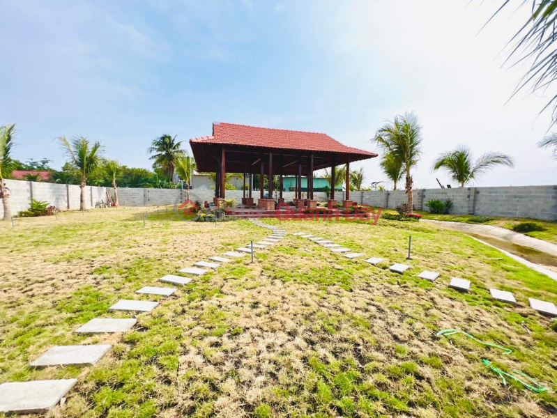 Property Search Vietnam | OneDay | Nhà ở Niêm yết bán, Bán đất tặng nhà vườn Hàm Thắng - Gần Đường nhựa Xoài Quỳ