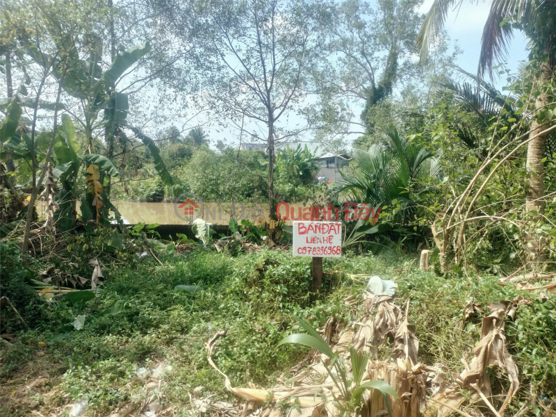 BEAUTIFUL LAND - GOOD PRICE - OWNER Needs to Sell Land Lot in Tam Binh Town, Tam Binh, Vinh Long | Vietnam | Sales, đ 1.15 Billion