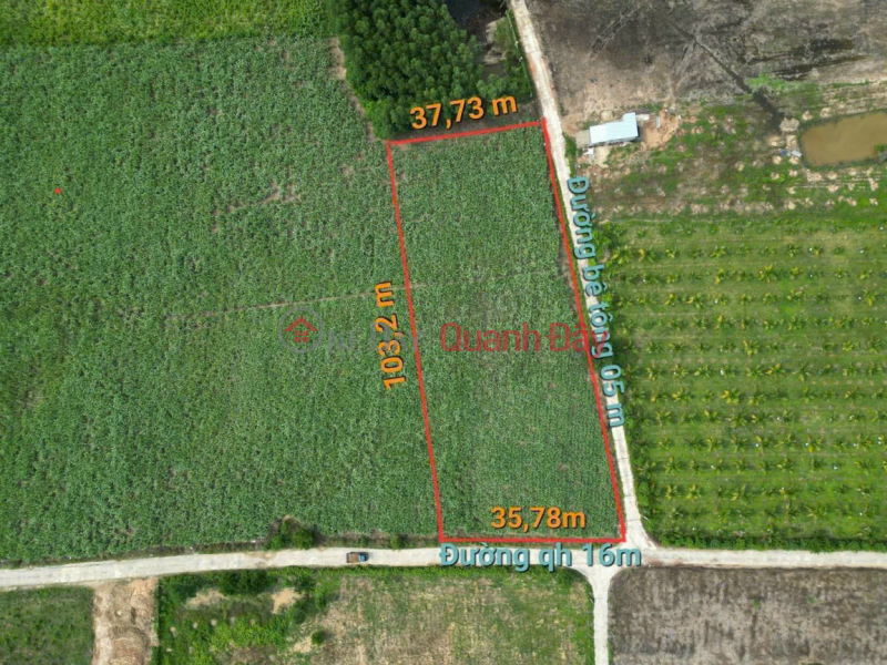 Dien Dong, DIEN KHANH, KHANH HOA 2 BEAUTIFUL HORIZONTAL FRONTS Sales Listings