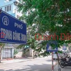 Bán 272m2 đất phố Trịnh Công Sơn ngõ ôtô vào, Tây Hồ giá 45,9 tỷ _0