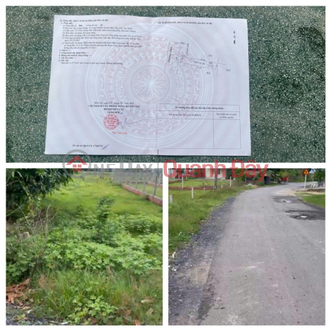 OWNER Sells 3 Adjacent Lots in Long Giang Commune, Ben Cau District, Tay Ninh _0