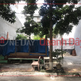 Land plot for rent 9m across Chi Linh Urban Area, TPVT _0