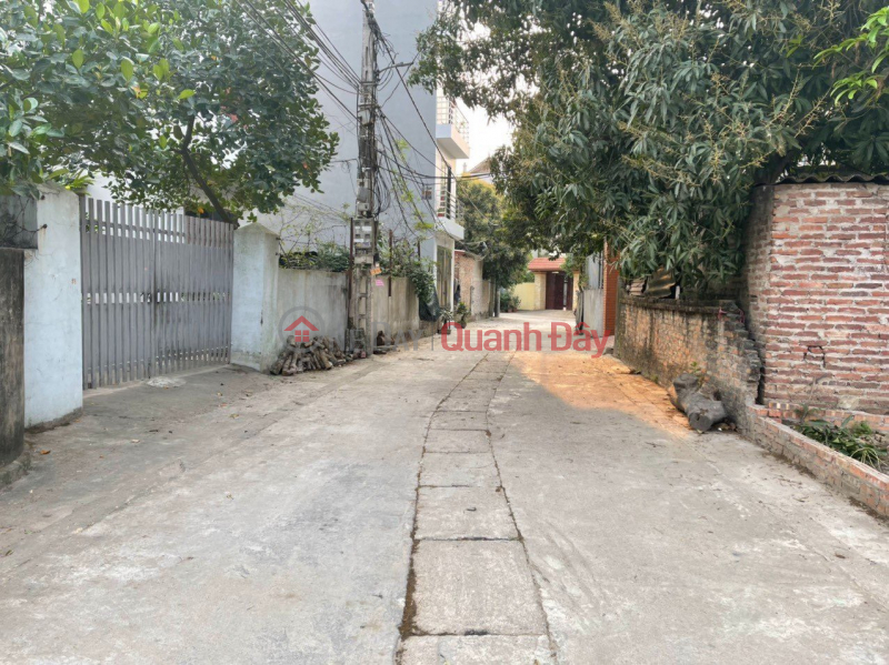 Property Search Vietnam | OneDay | Residential | Sales Listings | VAN NOI DONG ANH SECOND Neighborhood, AN ANGER Plot is SO BEAUTIFUL, 2 EYES CLEARLY, INTELLIGENTLY OTO, CHEAP PRICE