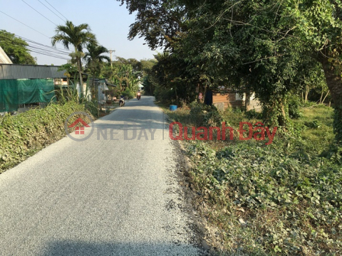 PRIME LAND - GOOD PRICE QUICK SELLING Beautiful LAND In Vinh Thanh Commune, Chau Thanh District, An Giang _0